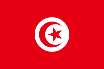 Tiles Export from India to Tunisia