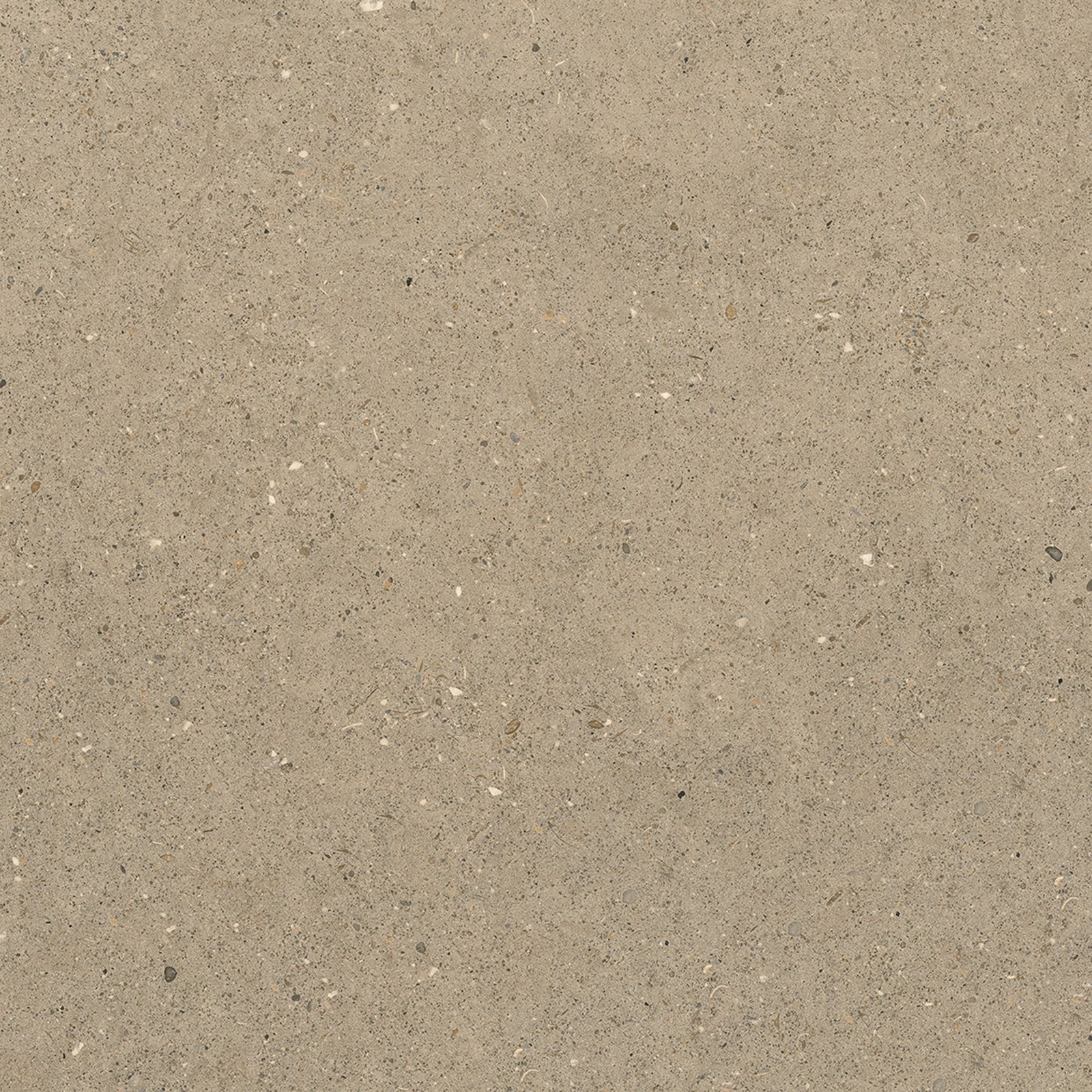 PRIME SANVI STONE BROWN