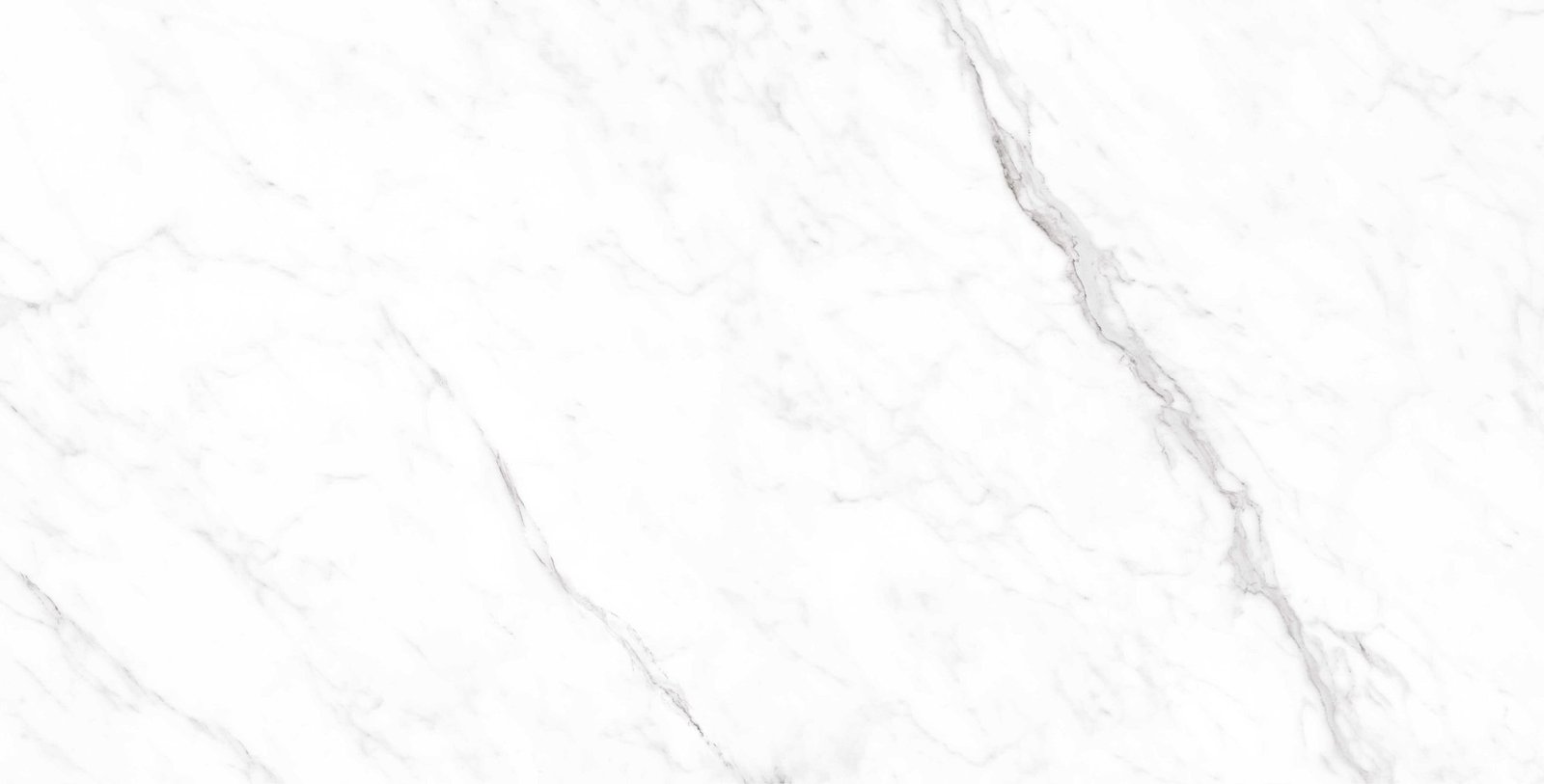 ROYAL CORALINA WHITE