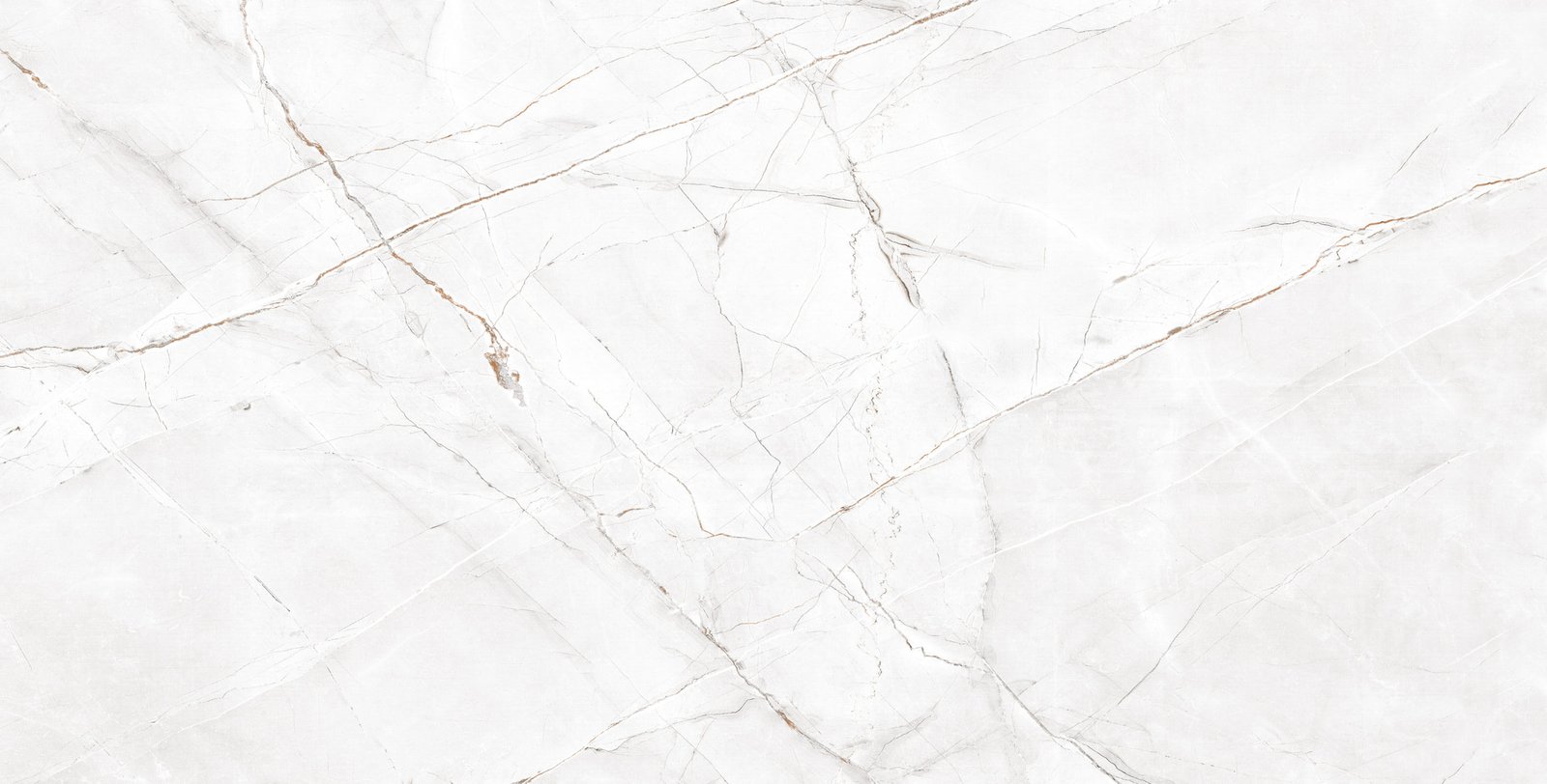 ROYAL VALENCIA SILVER GREY