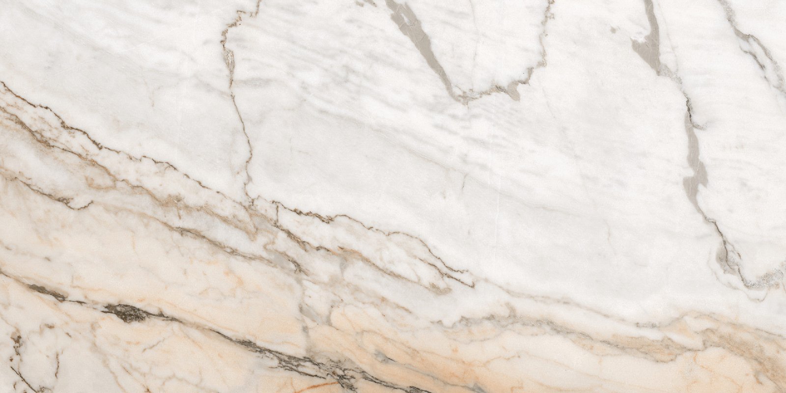 REGAL MICHEALANGELO A