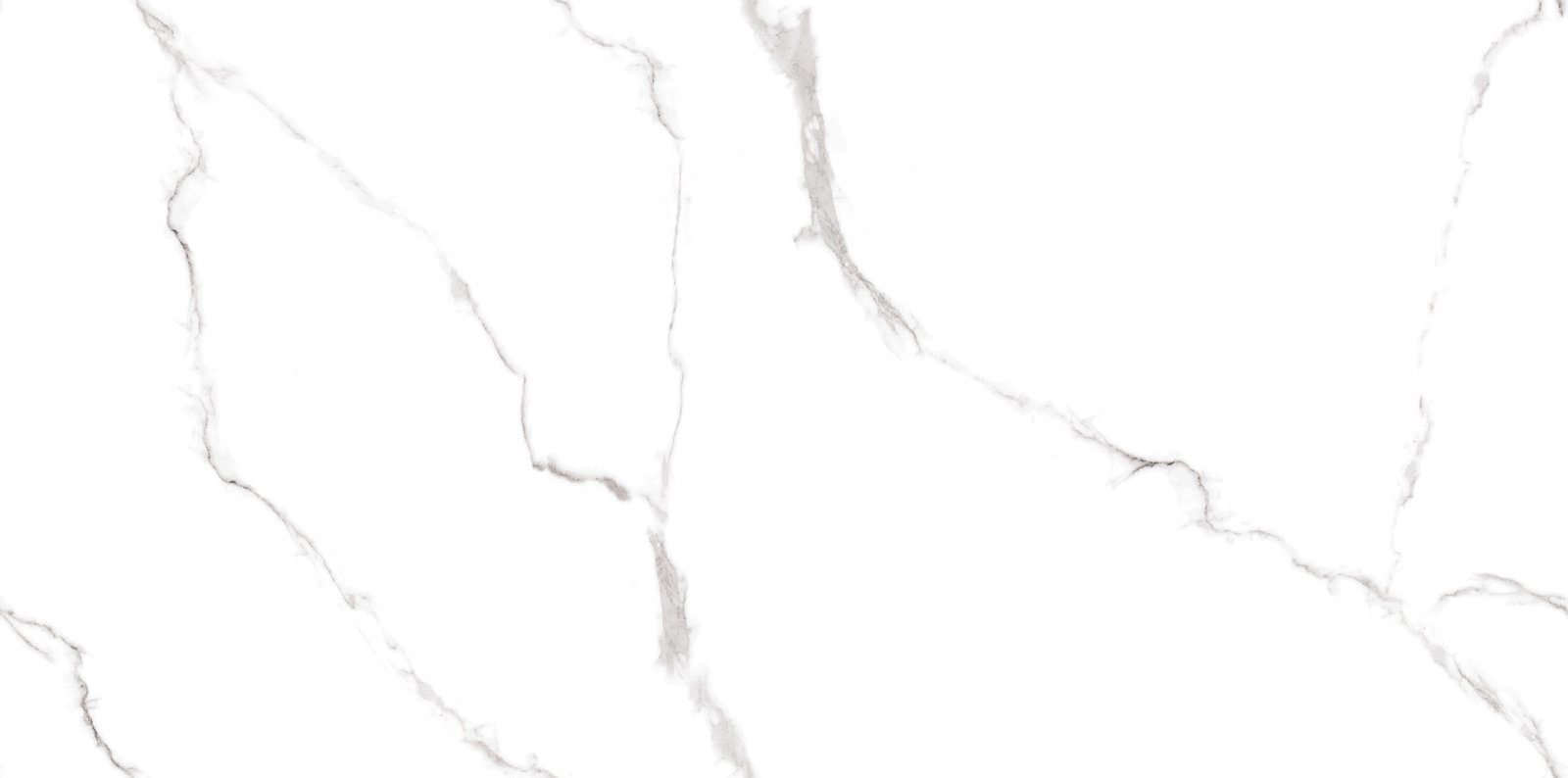 REGAL STATUARIO WINDS