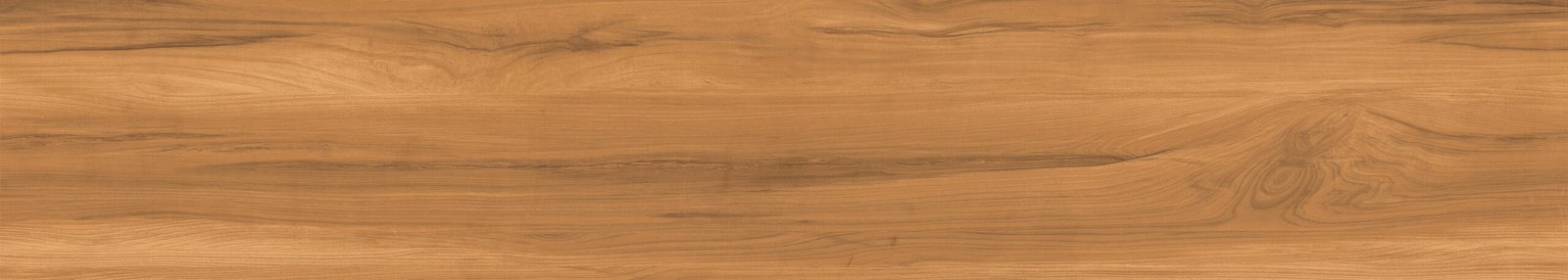 FOSSIL WOOD MAHOGANY