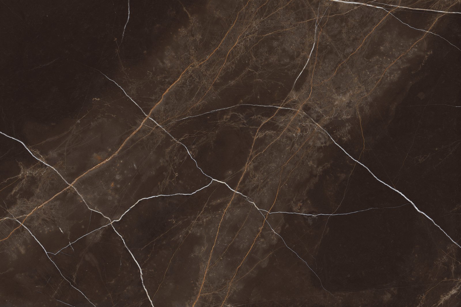 GRANDE ZUCCINI COFFEE